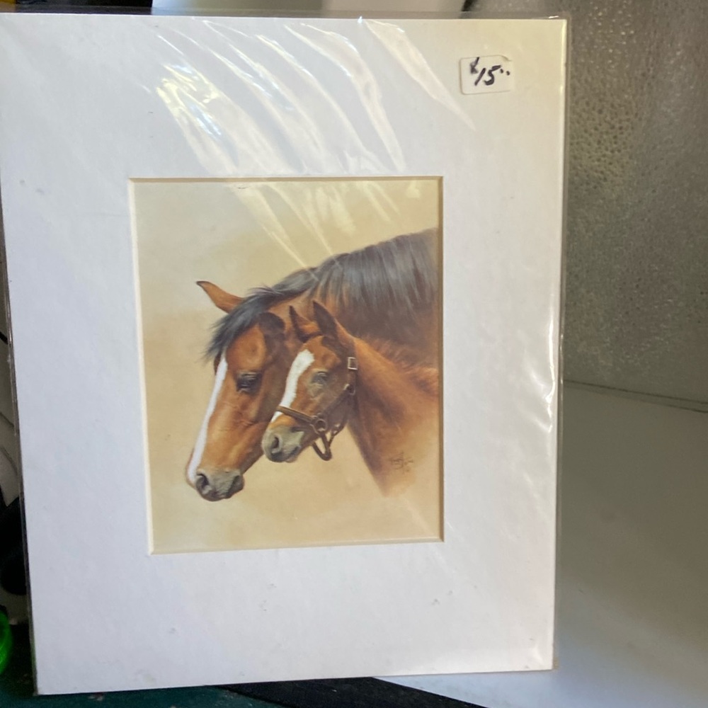 Gregory Perillo mare &colt print matted & sealed in clear plastic It’s beautiful
